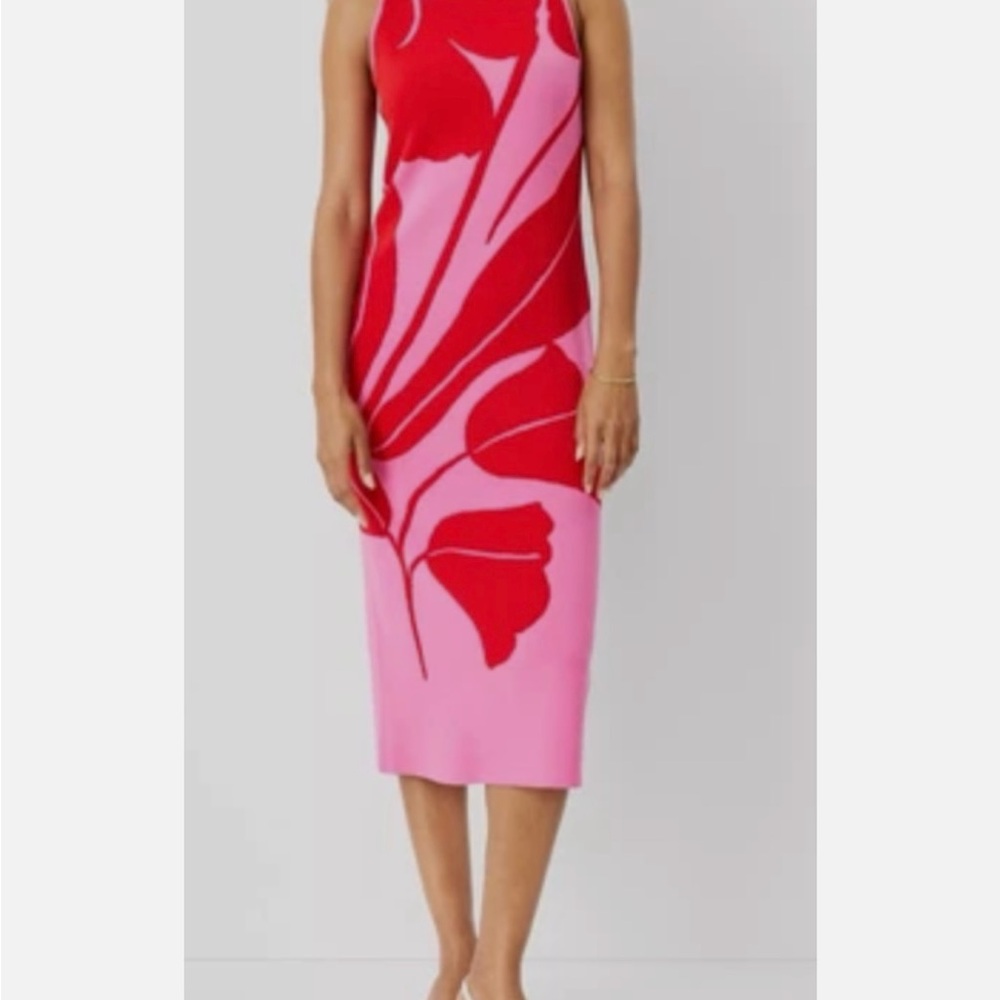 Ann Taylor Floral Knit Dress